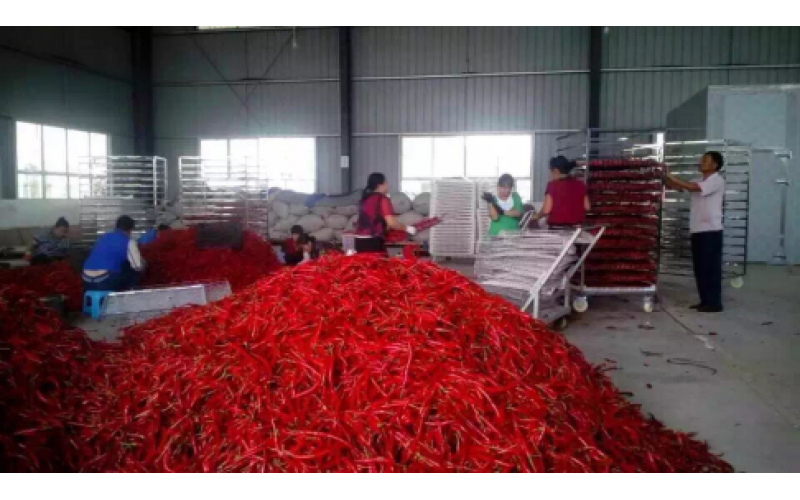 2021貴州辣椒加工產(chǎn)值150億元以上，空氣源熱泵烘干迎來爆發(fā)機(jī)遇